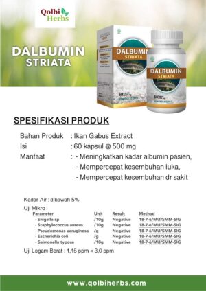 Dalbumin-Striata
