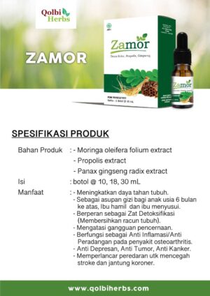 Zamor