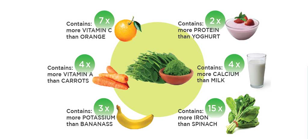 What-is-Moringa-Leaf
